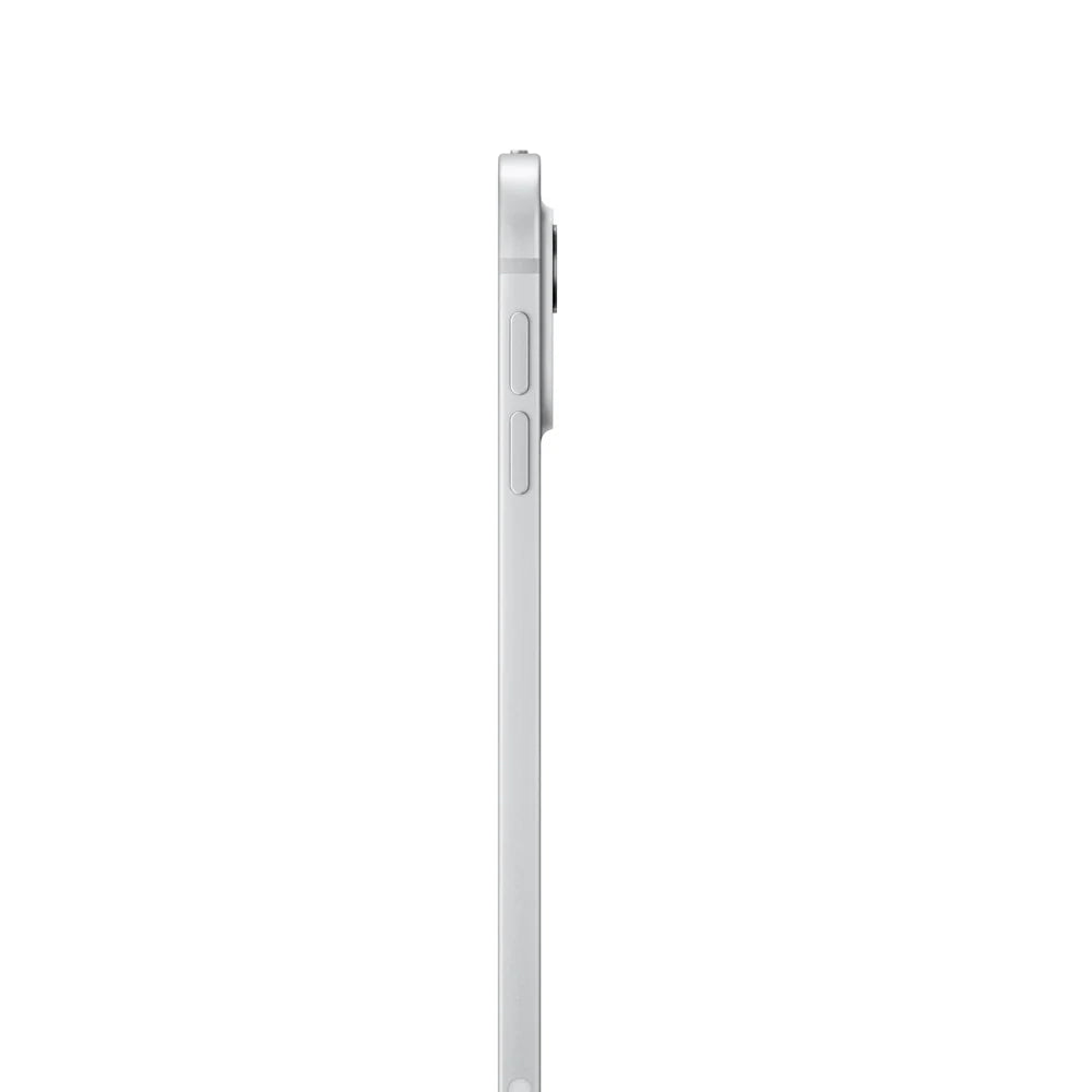 iPad pro 11 M4 semi nuevo - Plata