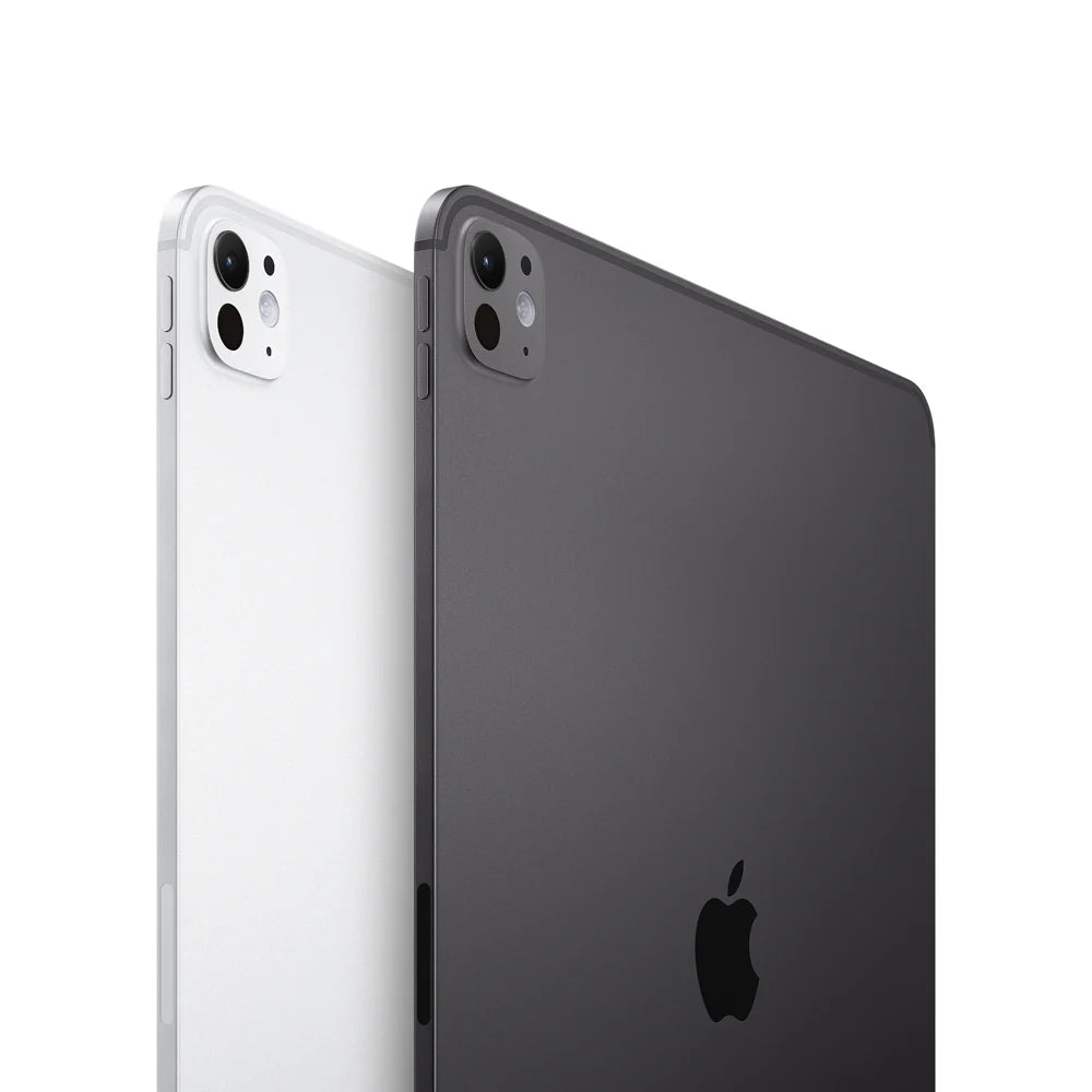 iPad pro 11 M4 semi nuevo - Plata