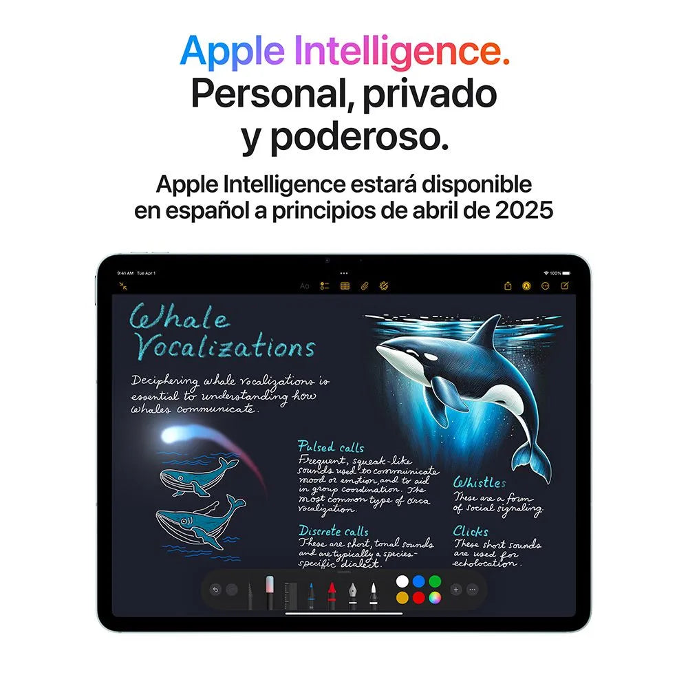 iPad Air 13 Chip M3 semi nuevo - Gris Espacial